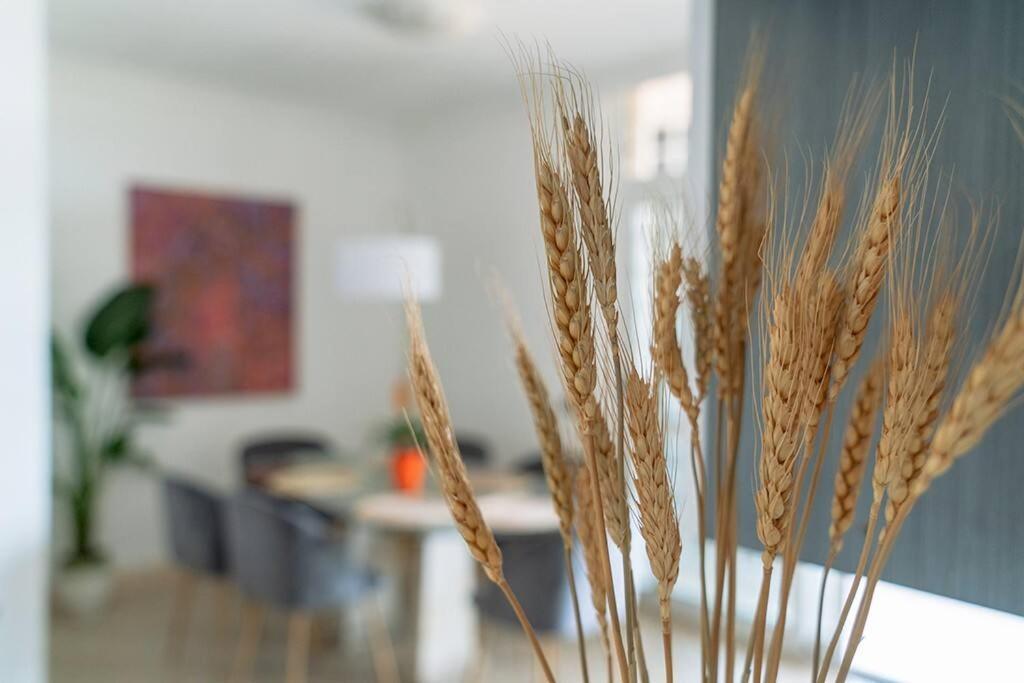 Appartamento Residenza Dell Agrifoglio