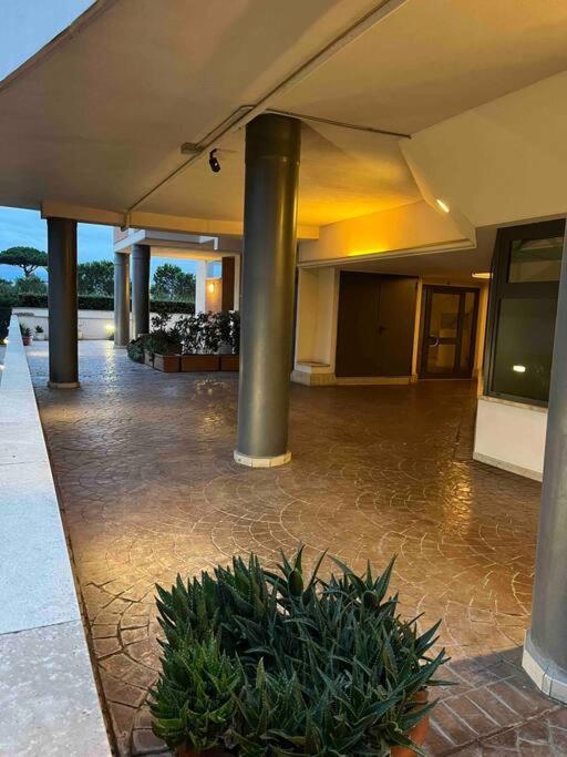 Apartment Residenza Dell Agrifoglio